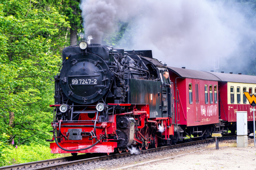 993911 (a): :2000x1333